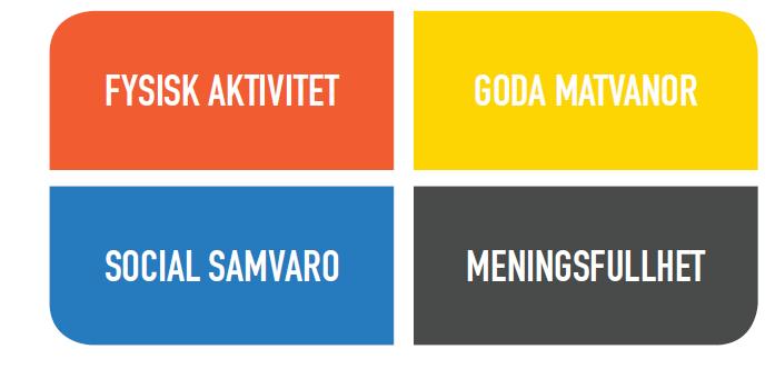 Då var Laxå kommun, Laxå vårdcentral, Sydnärke folkhälsoteam och Örebro läns idrottsförbund samverkansparter.