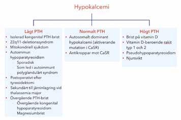 Regleringen av kalciumnivån sker framför allt med hjälp av vitamin D och paratyreoideahormon (PTH). Vitamin D bildas i huden med hjälp av solljus.