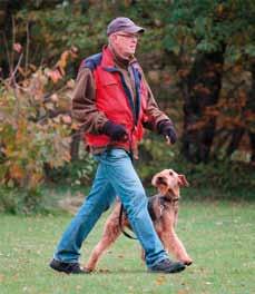 Budkaveln till Elisabeth Paulsson Vårt liv med airedaleterrier Terina Då har budkavlen kommit till oss Elisabeth och Pierre Paulsson (Kennel Elpixaz). Vi fick stafettpinnen av Monika Hillsjö.