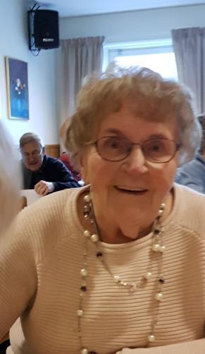 En julgran med belysning som vi haft tidigare år har inkl. uppsättning o nedtagning o bortforsling kostat cirka 20 tkr.