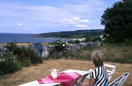 Välkommen till Nyhetsbrev nr 9-2017 NÄRA HAVET.trivs jag bäst. Vinjettbilden En fikastund alldeles intill den grindöppning som leder ut på malen, d.v.s. det vackra och innehållsrika naturreservat, som omfamnar hela bjärehalvön.
