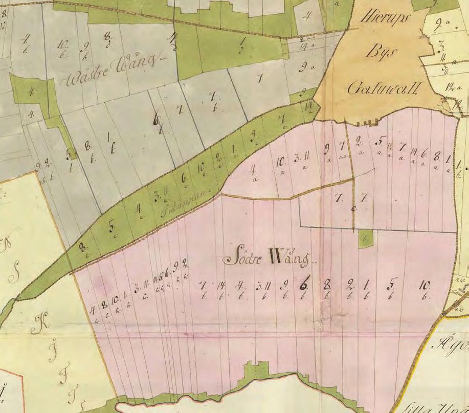 Fig. 3 Detalj av storskifteskartan över Hjärup från 1795. De många små och smala åkerremsorna inom Wästre och Södre Wång syns tydligt. Grönt är äng och mörkt gult är själva bytomten där gårdarna låg.