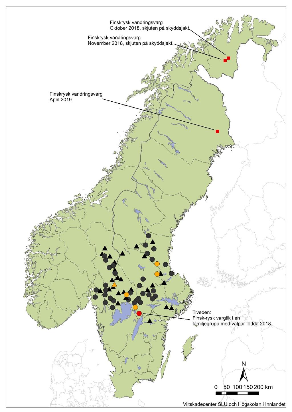 Figur 4. Familjegrupper (fylld cirkel) och revirmarkerande par (fylld triangel) av varg under inventeringsperioden vintern 2018-2019.