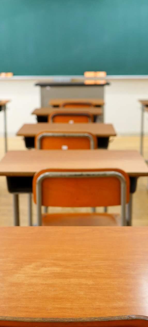 Rektorn ansvarar vidare för fördelningen av resurser utifrån elevernas olika behov av stödinsatser samt för det systematiska kvalitetsarbetet, vilket innefattar uppföljning av hur verksamheten