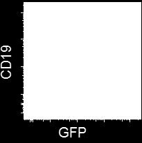 1mg/dose), CD40L (Bio X cell) and α4β7 (Bio X Cell West Lebanon, NH, 250µg/dose) blockade were used.