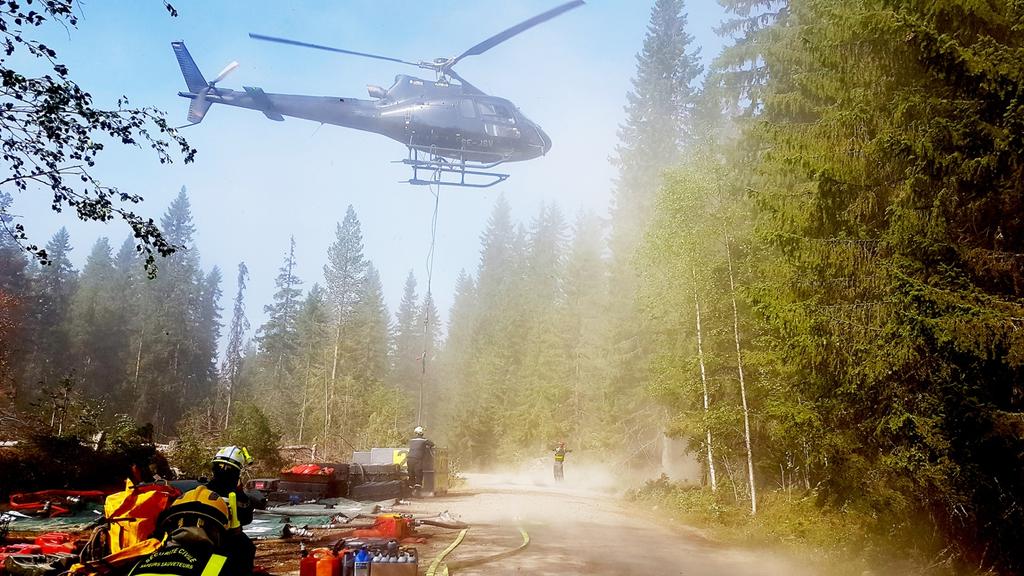 insikten om att övertagandet inte berodde på att deras arbete hade varit dåligt, utan att insatsen i övrigt var för stor. 132 I samband med beslutet om övertagande utsåg länsstyrelsen räddningsledare.