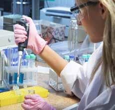 Områden i fokus Över en halv miljon svenskar lever med neurologiska diagnoser eller symtom.
