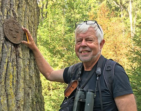 Sunhede, S. 2015. Vedsvampar på ek 22. Brunskinn Stereum gausapatum. Ekbladet 30: 29-38. Sunhede, S. & Vasiliauskas, R. 1996. Woodand bark inhabiting fungi on oak in Lithuania.