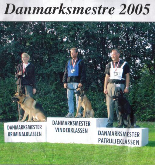 Daneskjold