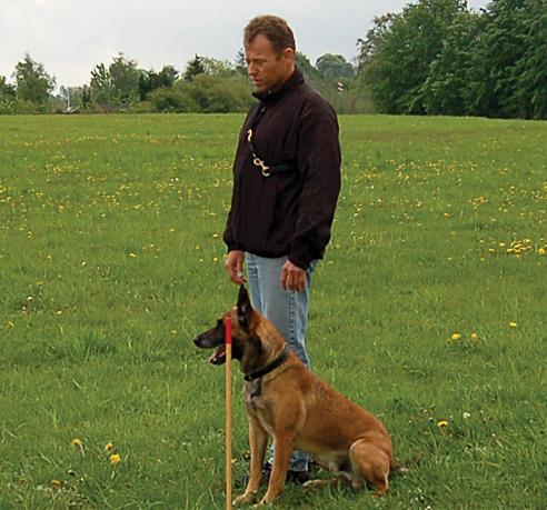 Hemma i Danmark tävlar Magnus och Jan (husse) i Politihund föreningens högsta klass vinderklassen, med stor framgång. De vinner många av de tävlingar de deltar i och är sällan sämre än pallplats.