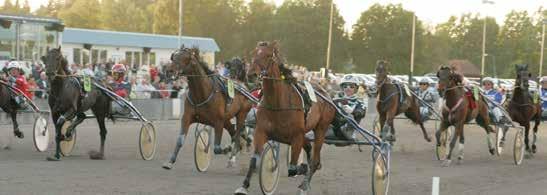 Start 7:8 LOPP Bankod b 7 Klass I, Försök 5 i Meeting 8 (Final Solvalla 6 december 08) -åriga och äldre 50.00-500.000 kr. 0 m. Autostart. Pris: 5.000-6.500-.000-6.000-0.000-7.000-5.