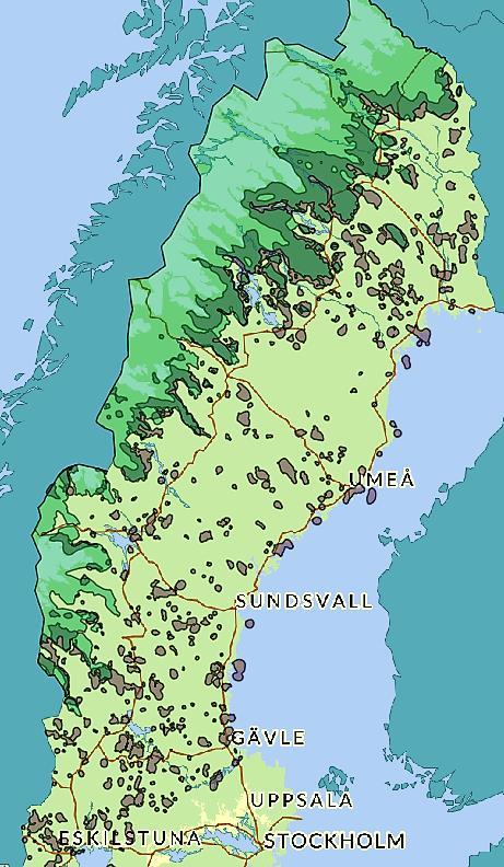 Tallbiten har 5 % kvar av sin utbredning och 5 % av sin täthet nedanför fjällnära gränsen Lavskrika har 53 % kvar av sin utbredning och 18 % av sin täthet nedanför fjällnära gränsen Lappmes har 13 %