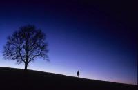 FABULA STORYTELLING The Stranger in the Dark - Storytelling in English As a travelling merchant settles for the night in a tiny roadside shelter, a young man appears from the darkness.