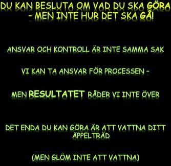 Det vi kan göra är att ta ansvar för våra misstag i samma takt som vi blir varse dem.