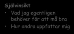 Brister vid personlighetsproblematik Självinsikt Vad jag egentligen behöver för att må bra Hur andra uppfattar mig Förmåga till ansvarstagande Personligt hur blir det för