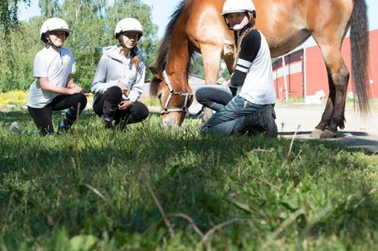 se 7, VIP-tält, i sommaren Halmstad 8, 9 golftävling,, 7 och sommaren 0 padelturnering 9 juli, 08 m.m. 9, 6, JUNI:, 7, 9,7 juni, Tävlingsdagar 9 & augusti 7, i JULI: 8, i Halmstad 9 Välkomna!