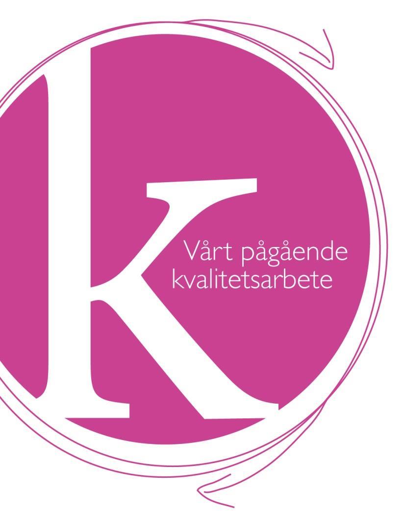 Kvalitetsrapport Normer och värden Läsåret 2016-2017 2017-10-04