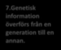 Energi om vandlar mellan olika energiformer, och energiomvandlingar medför att något händer. Rörelseenergi förvandlas till värmeenergi då vi gnuggar händerna mot varandera.