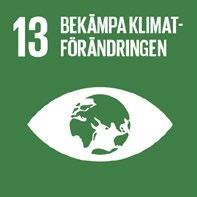 DE GLOBALA MÅLEN FN:S AGENDA 2030 Att avskaffa extrem fattigdom Att minska