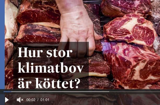 Läs mer om Veganmissionärerna Vegetariskt är det nya svarta 2019-04-04 Tejarps Förlag AB 10 ngar-ingen-bli-vegan //www.svd.
