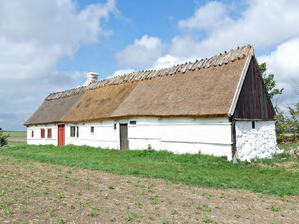 Efter årets omtäckning har hela det södra takfallet fått ny halm. Det som gjordes för två år sedan (längst bort) har hunnit gråna helt.