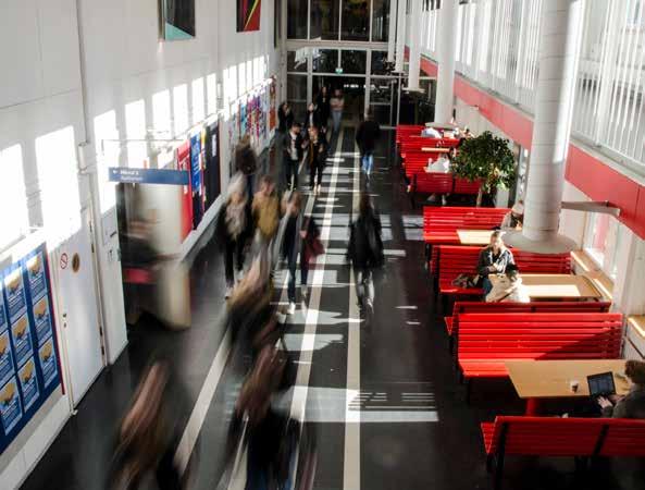 10 det bidrar till en dynamisk verksamhet där nya idéer kan mötas och brytas. Fakulteten ska främja möjligheterna för pensionerade forskare att ha tillgång till fakultetens forskningsinfrastruktur.