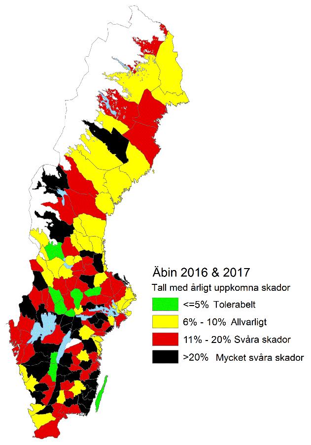 Den genomsnittliga andelen granstammar som har en färsk viltskada är 0,7 procent år 2016/2017, vilket är så gott som oförändrat jämfört med 2014/2015 (0,5 procent).