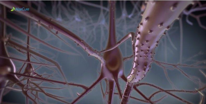 Vi fortsätter vår resa mot nya effektiva läkemedel för behandling av Alzheimers sjukdom Finansiell information fjärde kvartalet 2018 Nettoomsättningen under perioden uppgick till 0 KSEK (0).