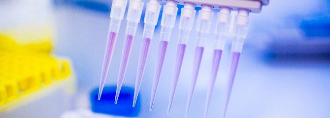 Projektutveckling AlzeCure Pharma arbetar aktivt med forskning och utveckling av nya, innovativa och effektiva läkemedel inom hjärnans sjukdomar med ett primärt fokus på Alzheimers sjukdom.