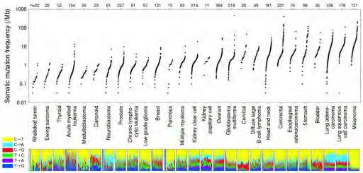 Tumor mutational burdon?
