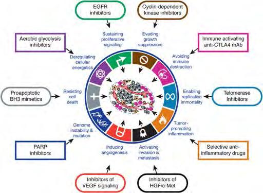 Cytostatika