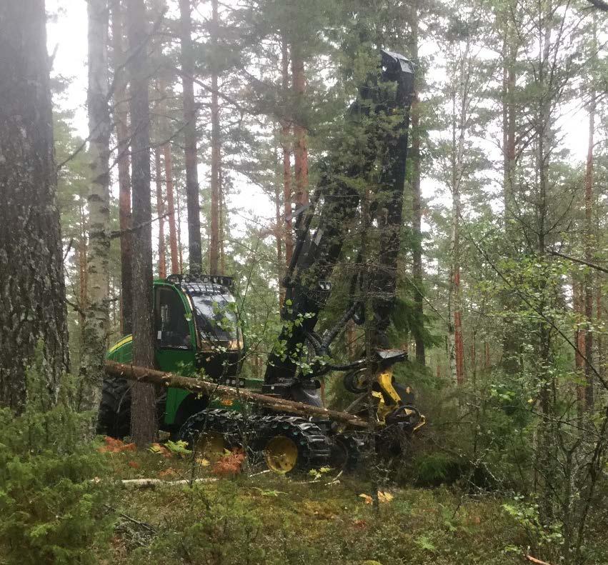 skogshushållning, 15 hp Serienamn: Examensarbete /SLU,