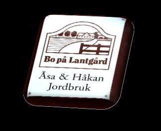Tidsprogram Söndagen den 26 februari Start Start slutspel starter