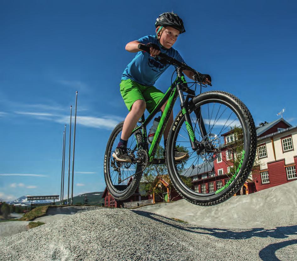 Testa Ramundbergets cykelpark med liftburen cykling för alla nivåer.