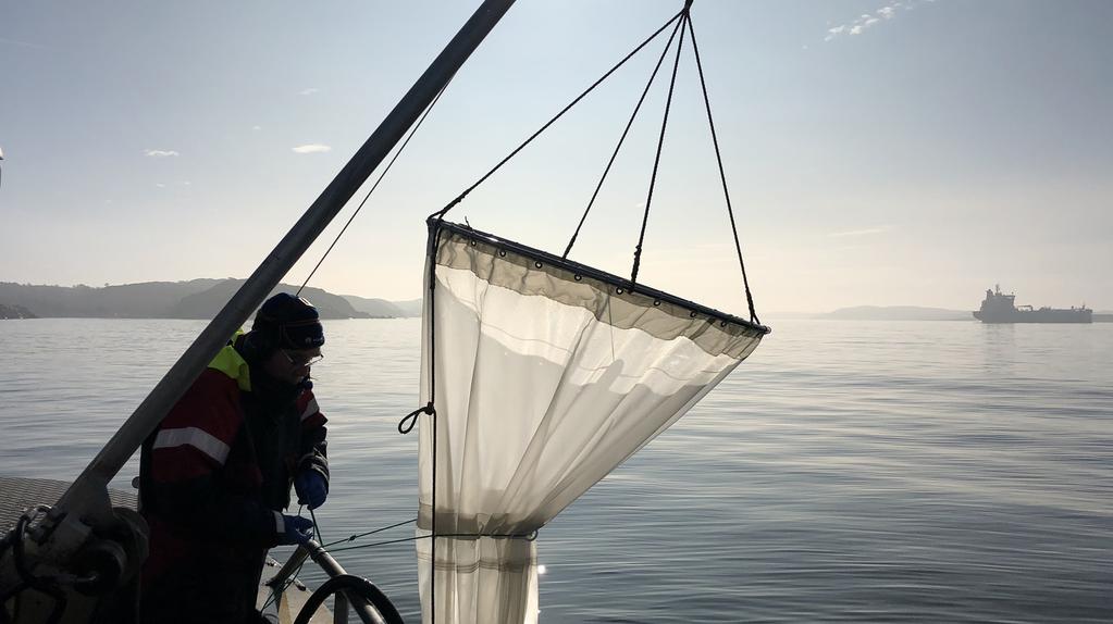 Aqua reports 2019:12 Expeditionsrapport för 2017 års fiskäggundersökning i Bohusläns skärgårds- och fjordområden