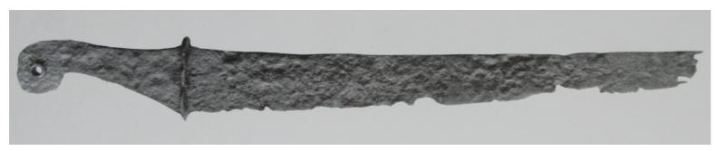 Längd: upp till 58 cm 80% av alla kända exemplar. 2.