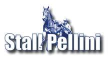 99 Stall E KINDNESS PELLINI 18-2506 mörkbrunt sto f. 8 maj 2018 27% franskt blod 5% inavel Ready Cash på 1.10-travare! READY CASH 1.10,3am 39.664.535 SEK 66 st: 40-8-3 HIGHLAND STRIKES 1.10,6ak 1.155.