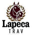 LAPECA TRAV presenterar: KASHMIR RIVER 18-2157 brunt sto f. 21 februari 2018 33% franskt blod 3% inavel Fransk styrka på tidig talang! 112 Stall D DJANGO RIFF 1.11,0am 1.323.