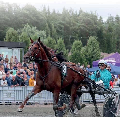 Rekordauktionen ar tillbaka AUKTIONSTOPPAR 2018 HEFNER AM hingst Muscle Hill-She Loves You F.I. 1.600.000 kr HABRIK AM hingst Bold Eagle-Tamla Celeber 1.600.000 kr HOLY GROUND hingst Father Patrick-Moonlight Kronos 1.