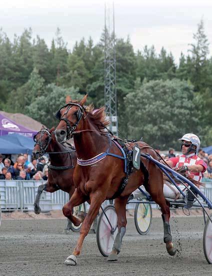 000 kr CASPER LANE hingst Maharajah-Captivating Ås 900.000 kr ROXY BROS sto Muscle Hill-Rugiada dei Rex 850.000 kr HAYMITCH AM hingst Father Patrick-Nobless Kronos 800.