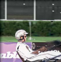 ZET STALLIONS 2019 ZETSTALLIONS.SE ZET STALLIONS 2019 ZETSTALLIONS.SE FATHER PATRICK Född 2011 e.