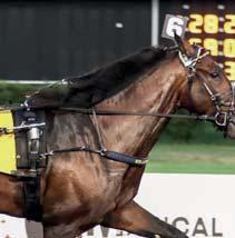 favorit till segern i Hambletonian i sommar! När han redan i slutet av maj vann på 1.08,6a/1.