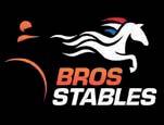 4 Stall A BROS STABLES presenterar: LABYAD BROS 18-3088 svartbrun hingst f. 18 maj 2018 8% franskt blod 11% inavel Raja Mirchi på amerikanskt toppmöderne! RAJA MIRCHI 1.08,9ak 8.726.