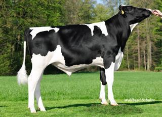 Hull aaa 432561 Kappakasein BB A2/A2 sexad 6 kg 0,08 % 57 kg 0,15 % 56 kg 230 450 Felix sdjup 35 88 t t t 88 FELIX är Tysklands No. 1 Federal son.