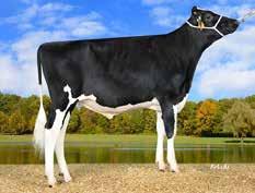 Hotspot P Stmb nr 679 Kod nr 9-7855 F: Superhero M: WIL Herz P VG-85 Igedo Stmb nr 461 Kod nr 9-7727 F: Icone M: Debel Bynke Myself VG-87 MF: Powerball P MM: WIL Hira VG-85 MF: Bynke MM: Debel