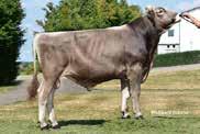 569 4,26 3,71 683 ENSIGN ET *TA JUPITER *TM MARION HUVIC EMSTAR (M) ORKAN PEDIGREE VASSLI DE 08 14660364 BEATRICE DE 08 156871 3/2 9.3 4,13 3,57 765 HL: 2. 10.