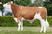 4 3,38 3,28 460 HUTMANN MANITOBA KENIA WALDBRAND OFIR RENI PEDIGREE MAHANGO Pp* DE 09 480266 DORTHE DE 09 4163 1/1 8.079 3, 3,54 607 HL: 1. 8.079 3, 3,54 607 MUNGO Pp FALTER ODES DORIS 5/5 8.