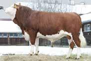 MIDWEST 10/167485........................................................... DE 09 521738 * 18.10.2016 aaa: 516342 SEHRGUT 10/1630........................................................... DE 09 47357352 * 17.