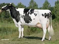 Dotterprövade Basical Stmb nr 5 Kod nr 9-7511 F: Balisto M: Wanessa Big Point Stmb nr 436 Kod nr 9-7341 F: Bookem M: Juleika VG-86 MF: Epic MM: Z M Wanja VG-87 MF: Man-O-Man MM: Jameika VG-86 MMF: