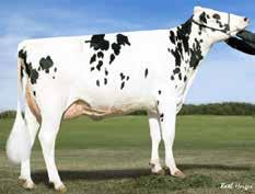 Hon blev också bedömd VG-85 Felix har t värde för fertilitet, RZR, överlevande och hälso tal RZFit 147. Lätta kalvningar och mjölkbarhet gör honom populär. Kappa-Casein (BB) ovh Beta-Casein (A2A2).